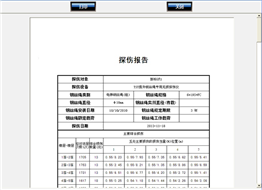 电梯小蝌蚪视频旧版本自动探伤系统检测报告